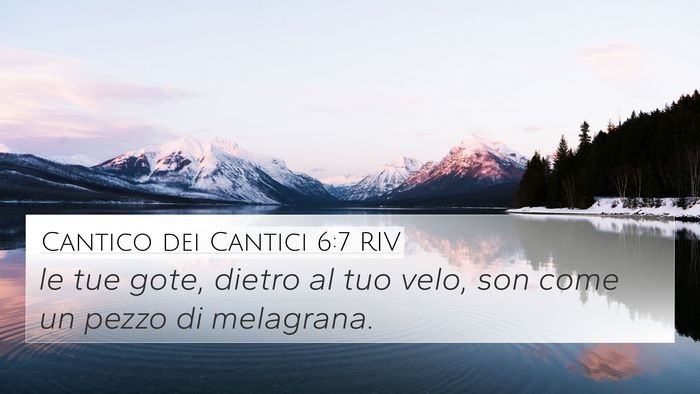 Cantico dei Cantici 6:7 RIV 4K Wallpaper - le tue gote, dietro al tuo velo, son come un - 4K Wallpaper Bible Verse