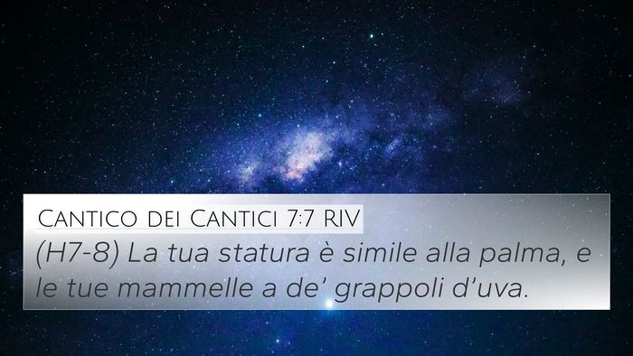 Cantico dei Cantici 7:7 RIV 4K Wallpaper - (H7-8) La tua statura è simile alla palma, e le - 4K Wallpaper Bible Verse