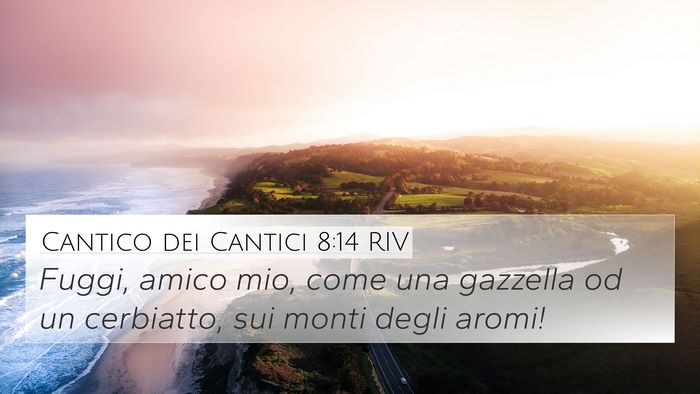 Cantico dei Cantici 8:14 RIV Bible Verse Image