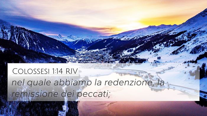 Colossesi 1:14 RIV Bible Verse Image