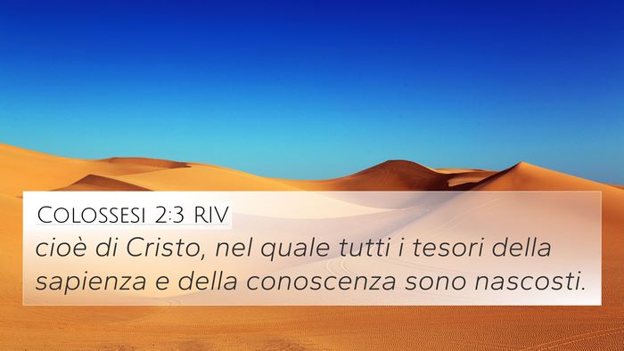 Colossesi 2:3 RIV Bible Verse Image