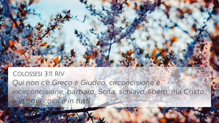 Colossesi 3:11 RIV Bible Verse Image