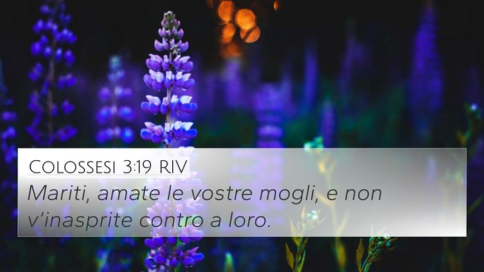 Colossesi 3:19 RIV Bible Verse Image