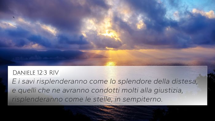 Daniele 12:3 RIV Bible Verse Image