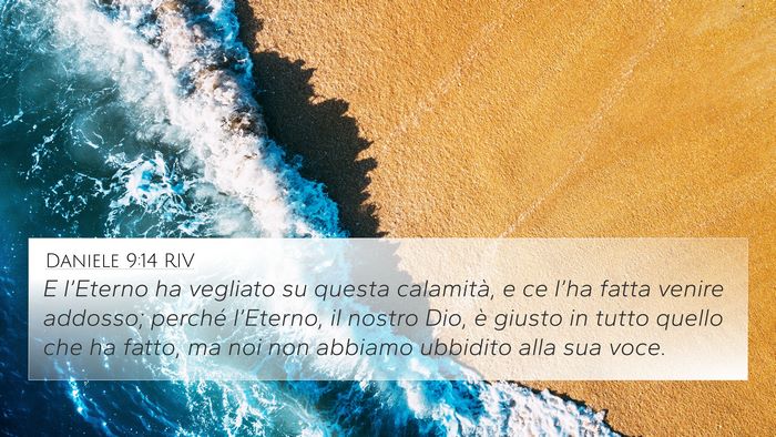 Daniele 9:14 RIV Bible Verse Image