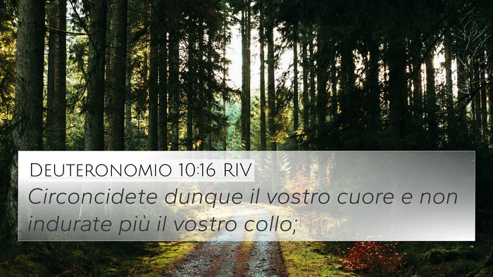Deuteronomio 10:16 RIV Bible Verse Image