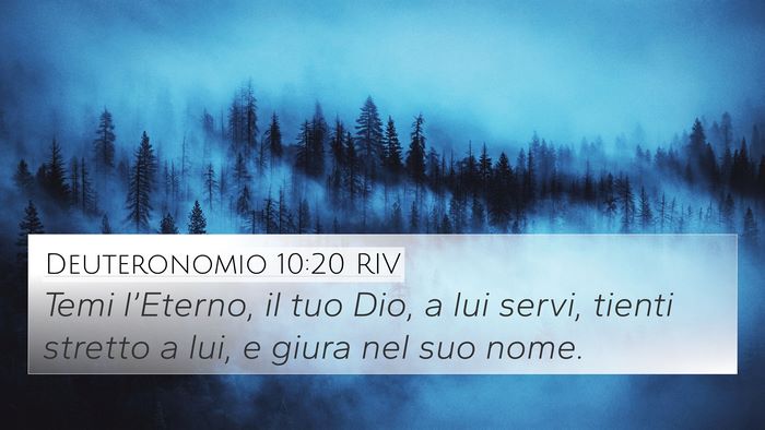 Deuteronomio 10:20 RIV Bible Verse Image