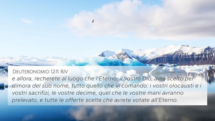 Deuteronomio 12:11 RIV Bible Verse Image