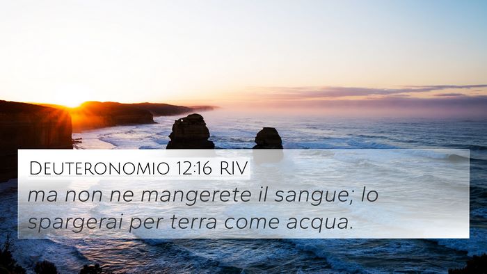 Deuteronomio 12:16 RIV Bible Verse Image