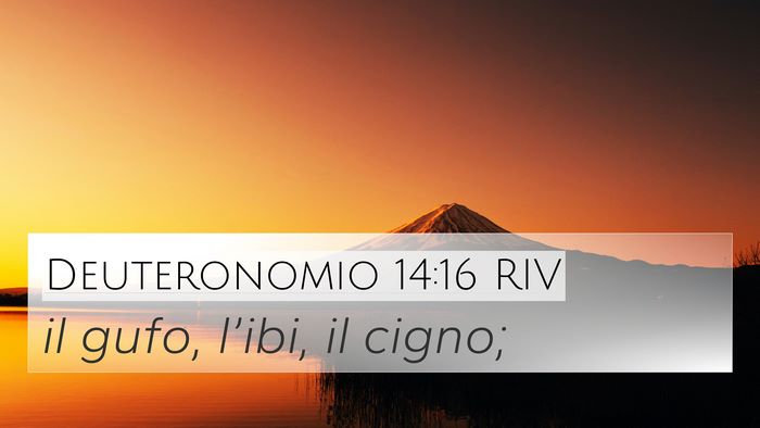 Deuteronomio 14:16 RIV 4K Wallpaper - il gufo, l’ibi, il - 4K Wallpaper Bible Verse