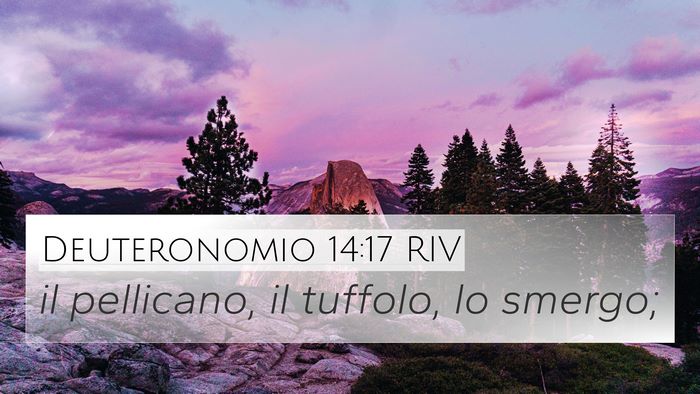 Deuteronomio 14:17 RIV 4K Wallpaper - il pellicano, il tuffolo, lo - 4K Wallpaper Bible Verse