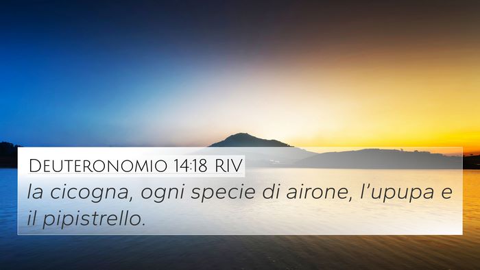 Deuteronomio 14:18 RIV 4K Wallpaper - la cicogna, ogni specie di airone, l’upupa e il - 4K Wallpaper Bible Verse