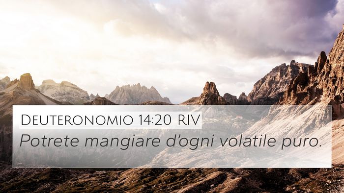 Deuteronomio 14:20 RIV 4K Wallpaper - Potrete mangiare d’ogni volatile - 4K Wallpaper Bible Verse