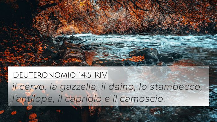 Deuteronomio 14:5 RIV 4K Wallpaper - il cervo, la gazzella, il daino, lo stambecco, - 4K Wallpaper Bible Verse