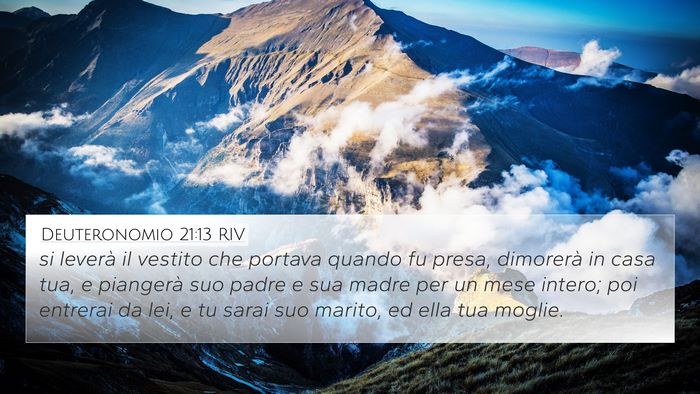 Deuteronomio 21:13 RIV Bible Verse Image