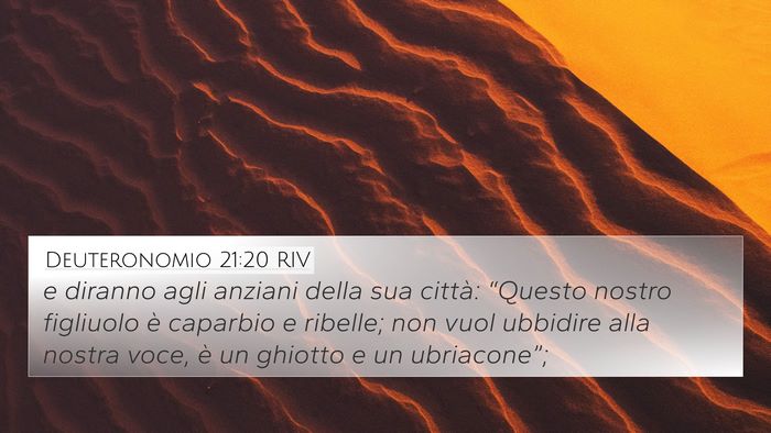 Deuteronomio 21:20 RIV Bible Verse Image
