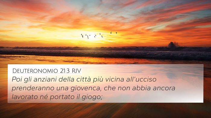 Deuteronomio 21:3 RIV 4K Wallpaper - Poi gli anziani della città più vicina - 4K Wallpaper Bible Verse