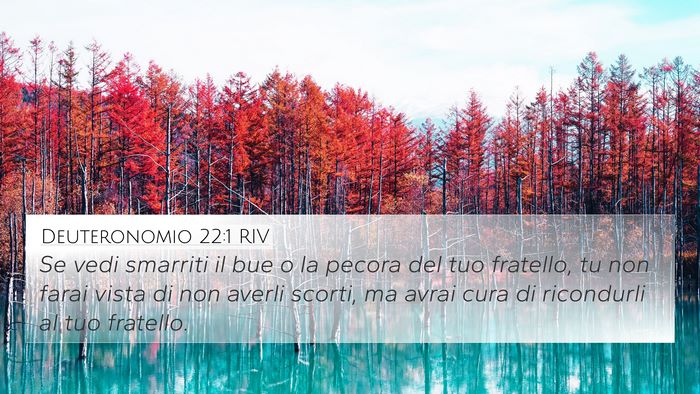 Deuteronomio 22:1 RIV Bible Verse Image