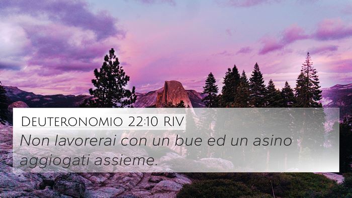 Deuteronomio 22:10 RIV 4K Wallpaper - Non lavorerai con un bue ed un asino aggiogati - 4K Wallpaper Bible Verse