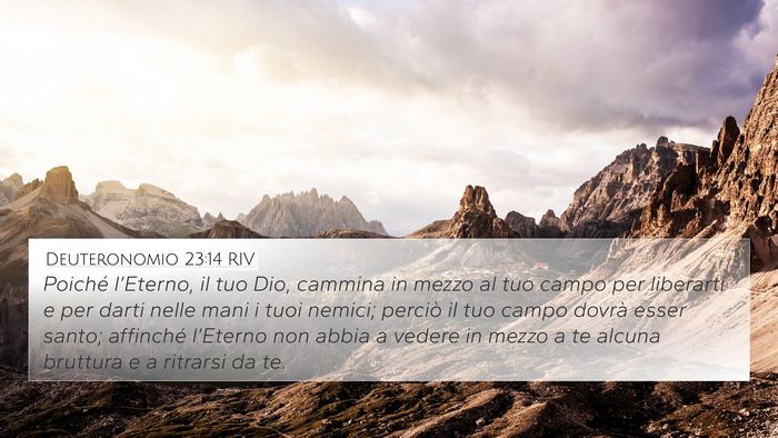 Deuteronomio 23:14 RIV Bible Verse Image