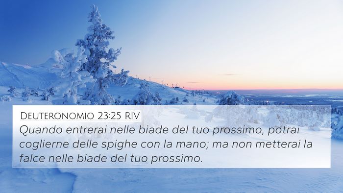 Deuteronomio 23:25 RIV 4K Wallpaper - Quando entrerai nelle biade del tuo prossimo, - 4K Wallpaper Bible Verse