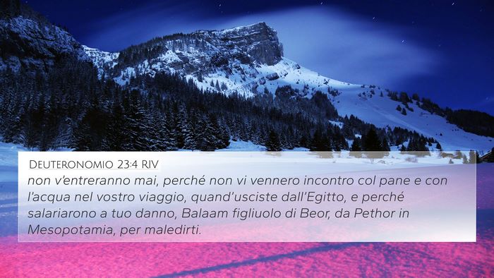 Deuteronomio 23:4 RIV Bible Verse Image