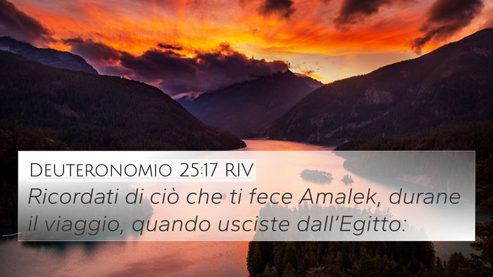 Deuteronomio 25:17 RIV Bible Verse Image