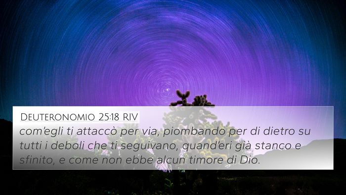 Deuteronomio 25:18 RIV 4K Wallpaper - com’egli ti attaccò per via, piombando per di - 4K Wallpaper Bible Verse