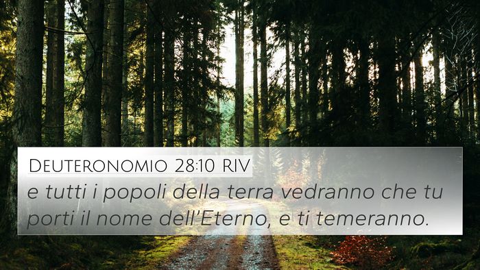 Deuteronomio 28:10 RIV Bible Verse Image