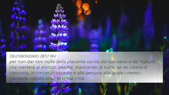 Deuteronomio 28:57 RIV Bible Verse Image