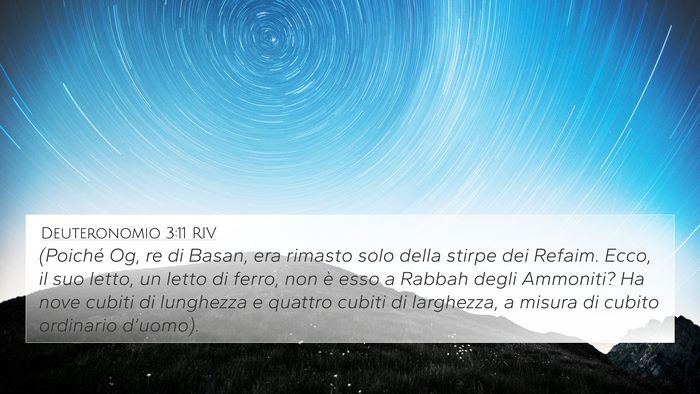 Deuteronomio 3:11 RIV Bible Verse Image