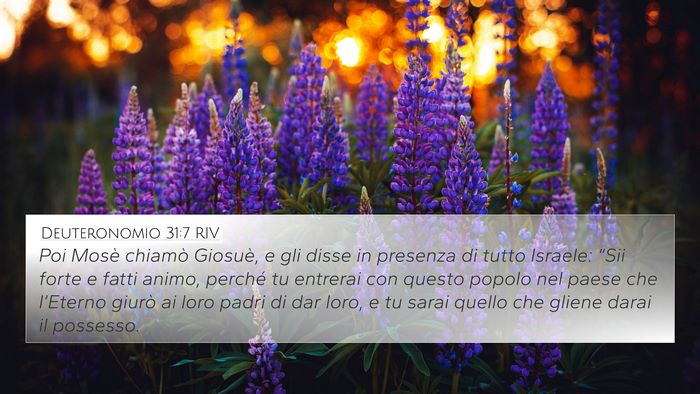Deuteronomio 31:7 RIV Bible Verse Image