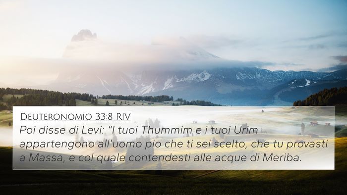 Deuteronomio 33:8 RIV Bible Verse Image
