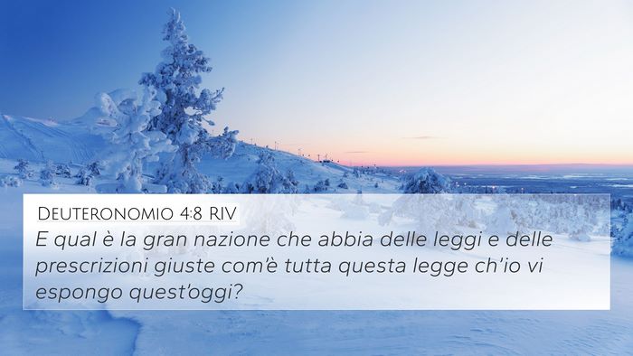 Deuteronomio 4:8 RIV Bible Verse Image