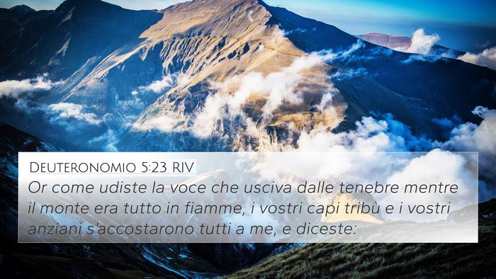 Deuteronomio 5:23 RIV Bible Verse Image