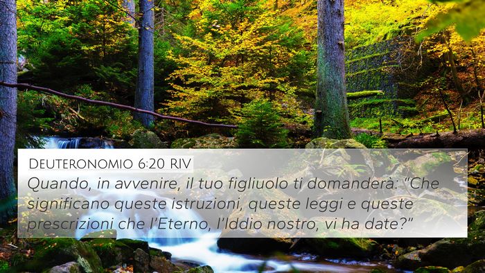 Deuteronomio 6:20 RIV Bible Verse Image