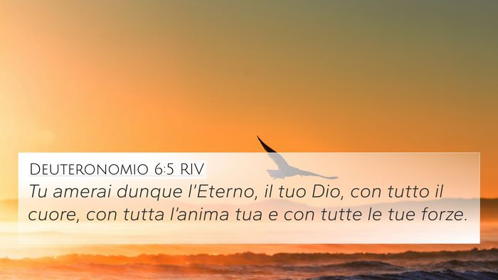 Deuteronomio 6:5 RIV Bible Verse Image