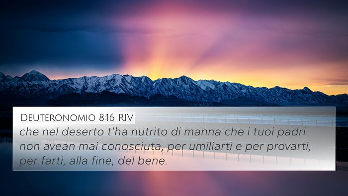 Deuteronomio 8:16 RIV Bible Verse Image