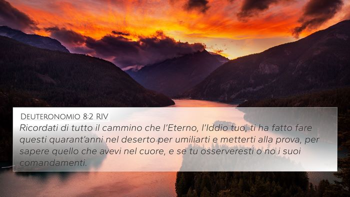 Deuteronomio 8:2 RIV Bible Verse Image
