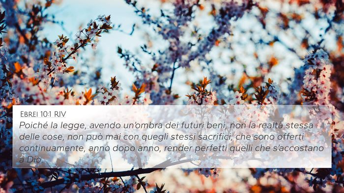 Ebrei 10:1 RIV Bible Verse Image