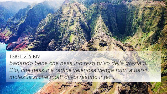 Ebrei 12:15 RIV Bible Verse Image