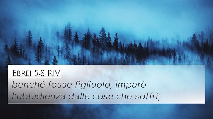 Ebrei 5:8 RIV Bible Verse Image