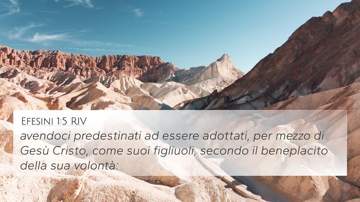 Efesini 1:5 RIV Bible Verse Image