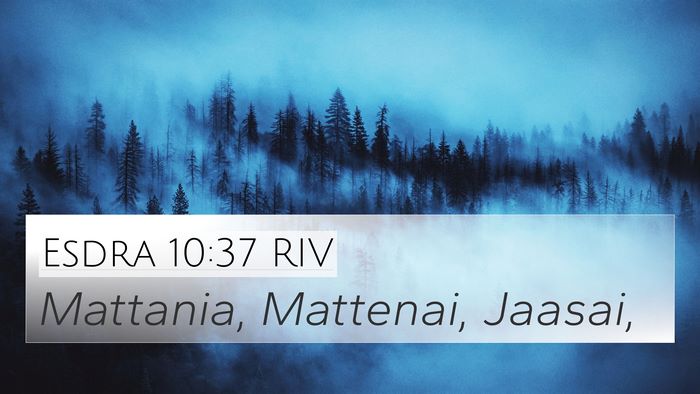 Esdra 10:37 RIV 4K Wallpaper - Mattania, Mattenai, - 4K Wallpaper Bible Verse