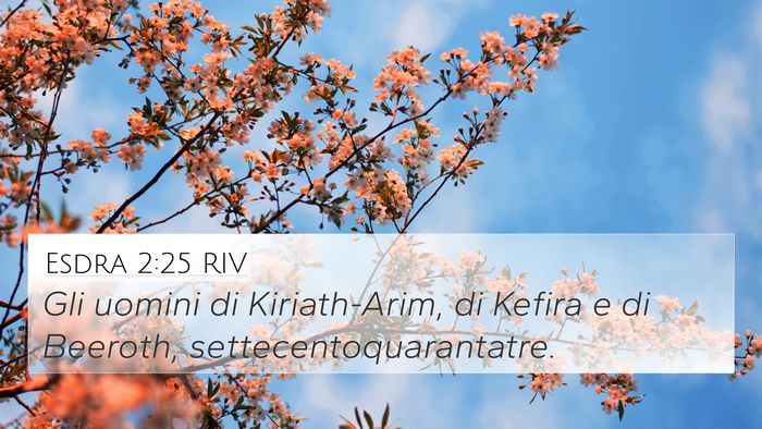 Esdra 2:25 RIV 4K Wallpaper - Gli uomini di Kiriath-Arim, di Kefira e di - 4K Wallpaper Bible Verse