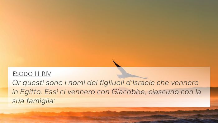 Esodo 1:1 RIV Bible Verse Image