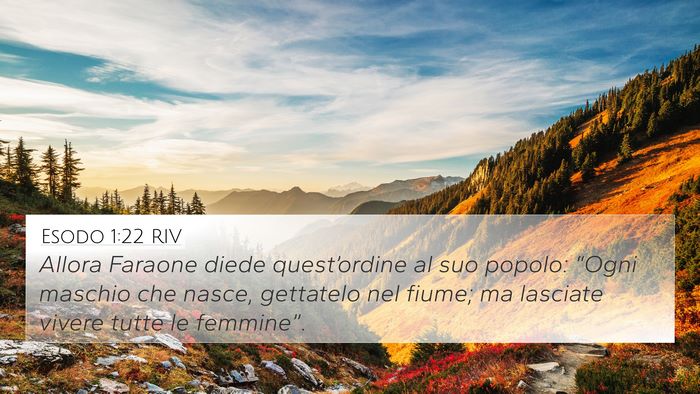 Esodo 1:22 RIV Bible Verse Image