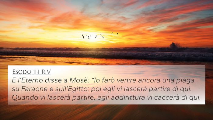 Esodo 11:1 RIV 4K Wallpaper - E l’Eterno disse a Mosè: “Io farò venire - 4K Wallpaper Bible Verse