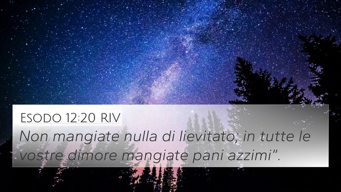 Esodo 12:20 RIV 4K Wallpaper - Non mangiate nulla di lievitato; in tutte le - 4K Wallpaper Bible Verse