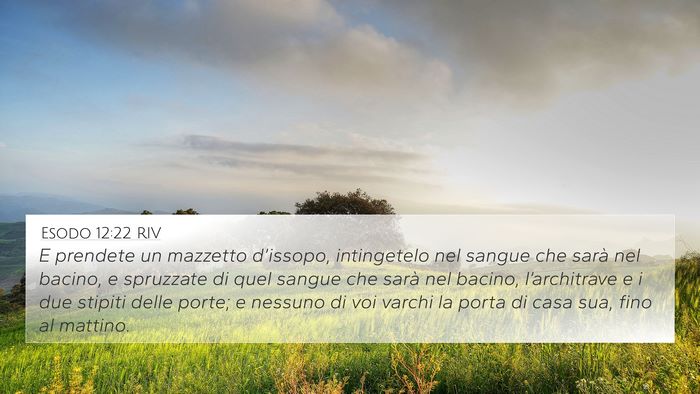 Esodo 12:22 RIV Bible Verse Image